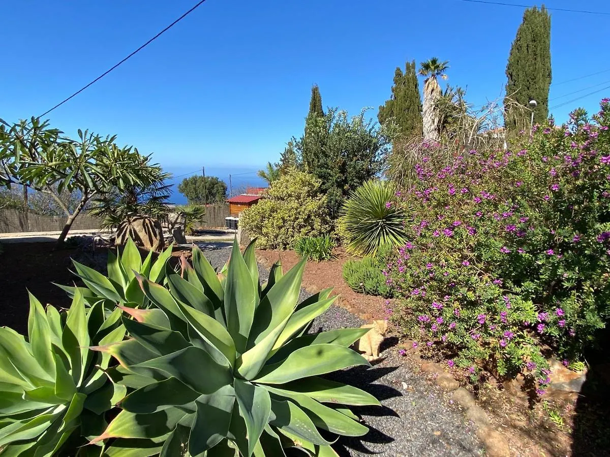Tatil Evi Casa Florita Villa Puntagorda